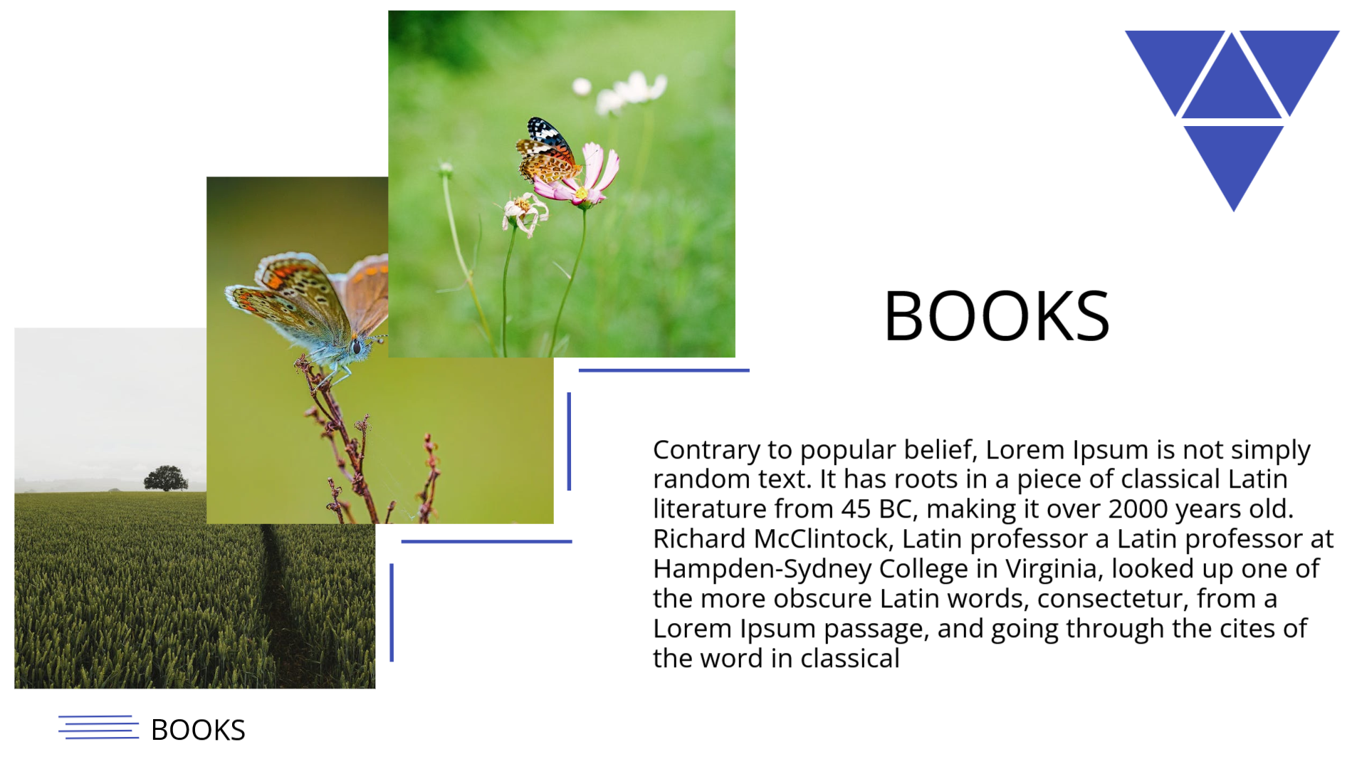 Image_Gallery_Layout digital presentation template - professional slide design preview