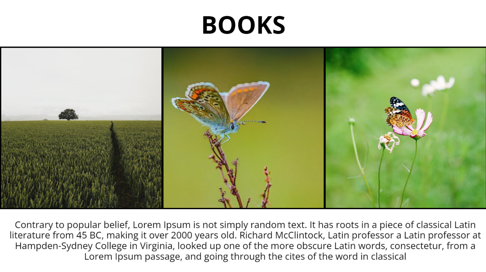 Image_Gallery_Layout modern presentation template - professional slide design preview