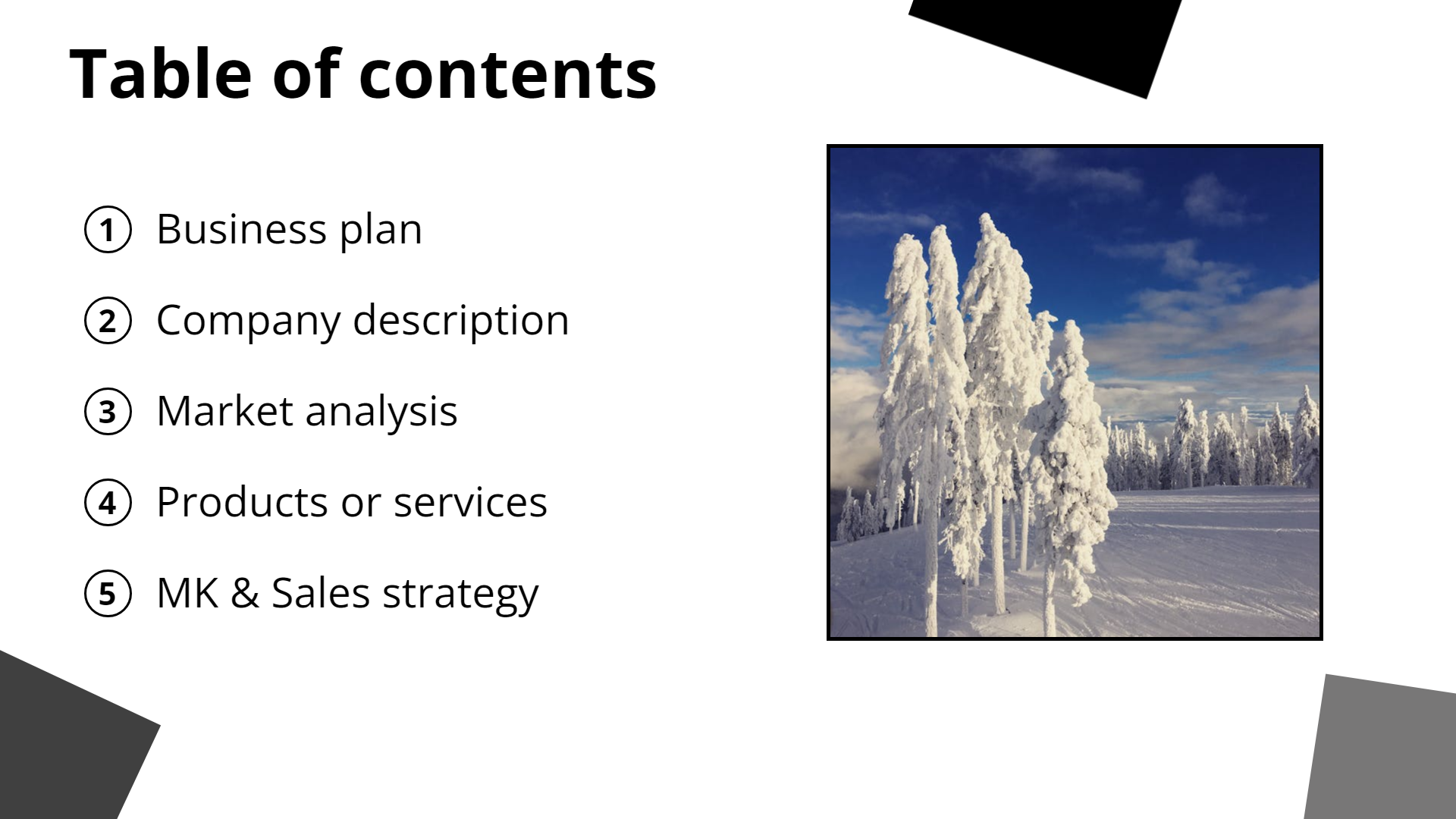 Image_With_List default presentation template - professional slide design preview